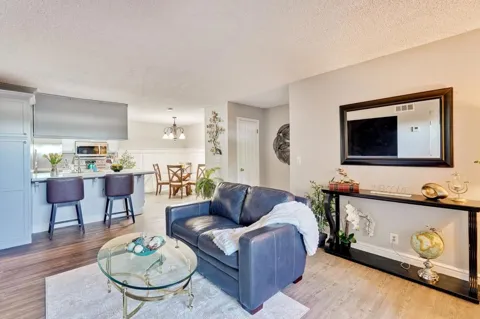 259 Capitol Avenue #163