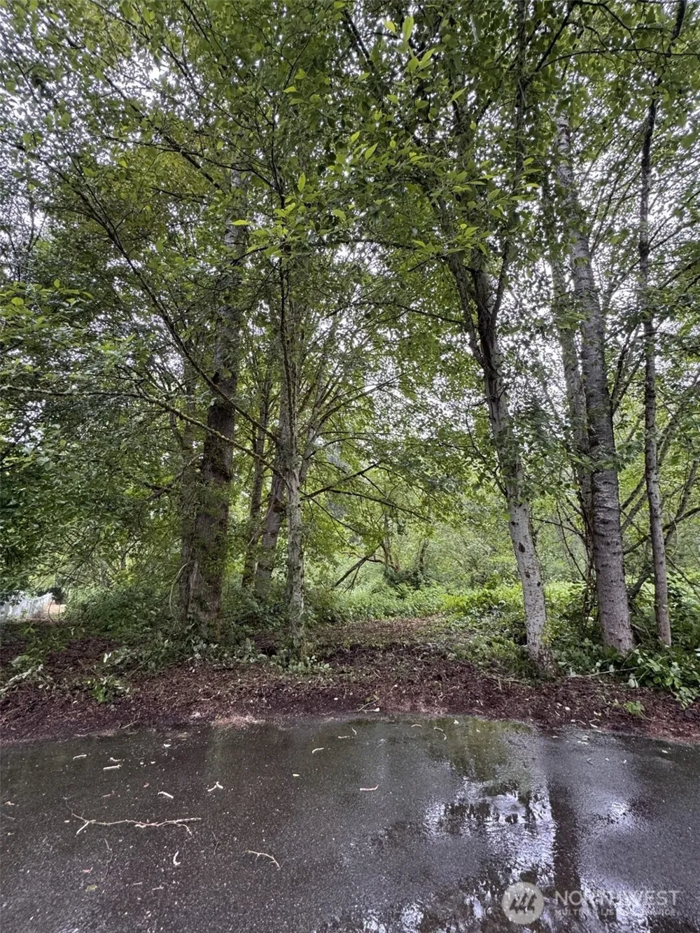 0 XXXX 198th Avenue NE Redmond, WA 98053