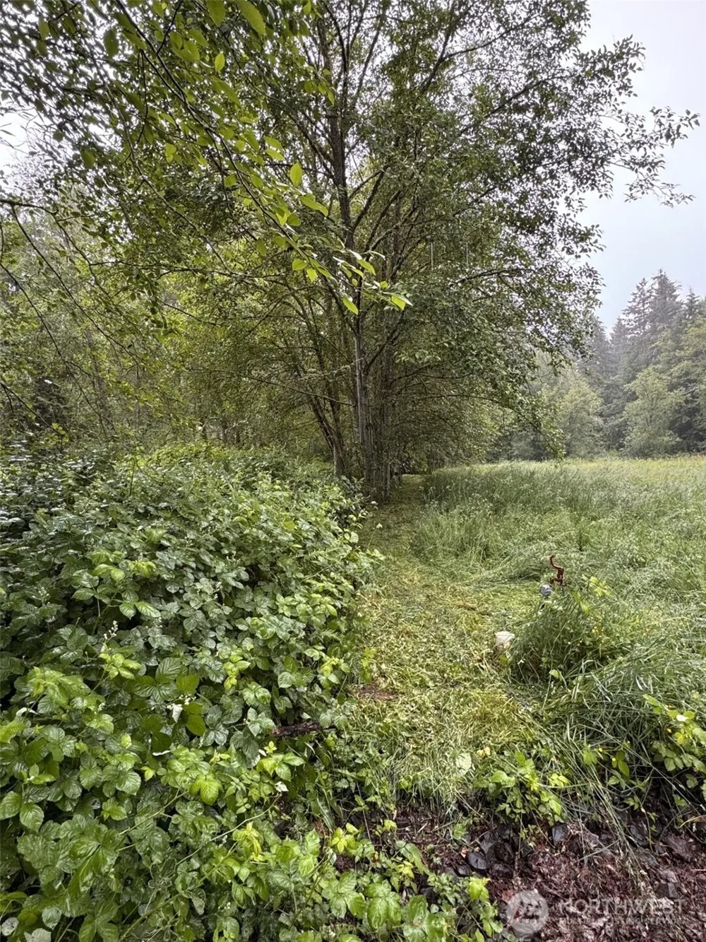 0 XXXX 198th Avenue NE Redmond, WA 98053