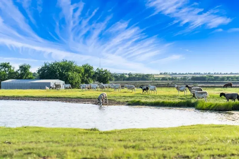 8085 Jackson Road Krum, TX 76249
