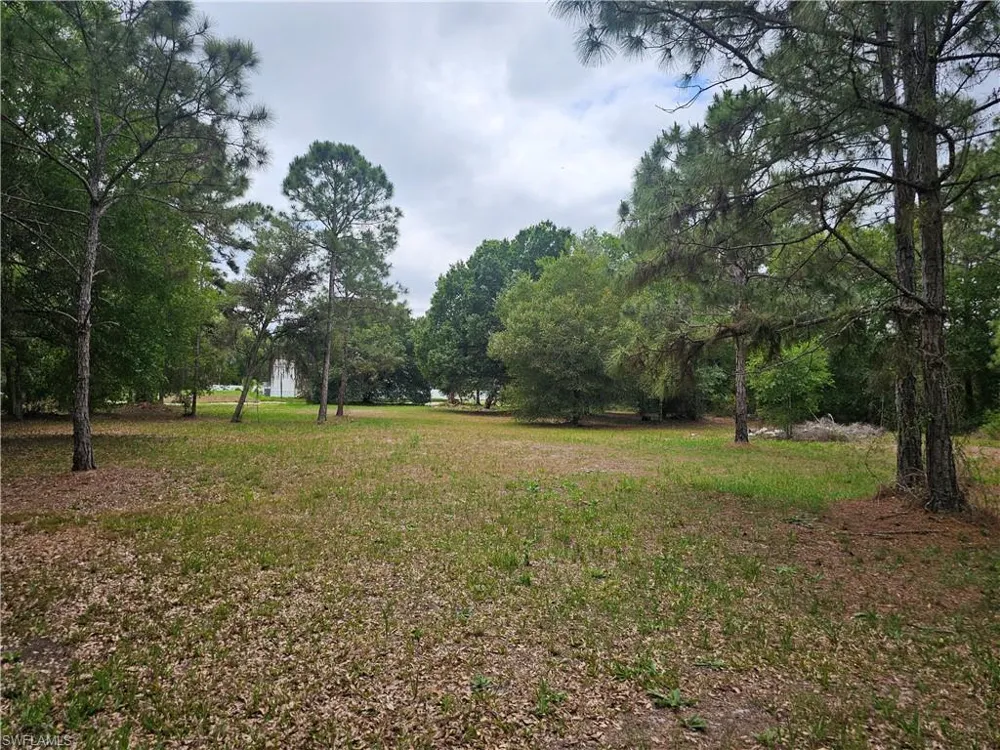 509 Bald Cypress Avenue Clewiston, FL 33440