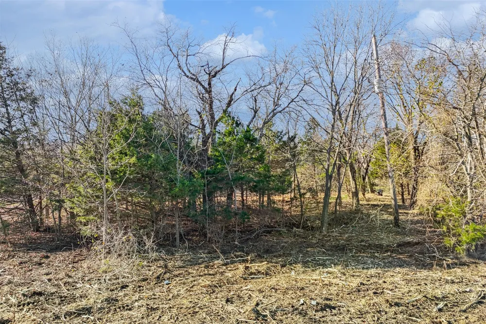 2160 County Road 658 Farmersville, TX 75442
