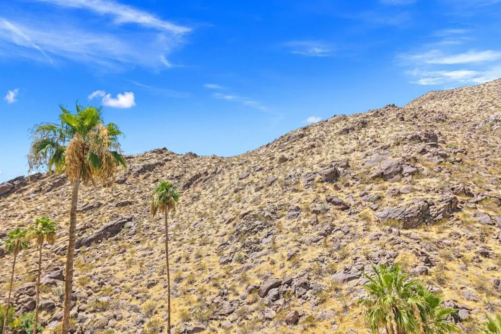 630 Cameo Drive Palm Springs, CA 92264