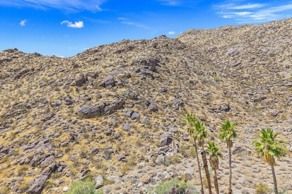 630 Cameo Drive Palm Springs, CA 92264