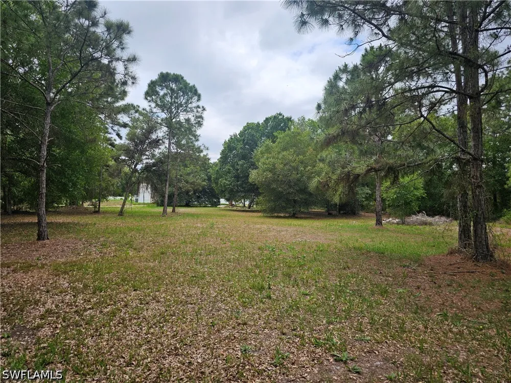 Bald Cypress Avenue Clewiston, FL 33440
