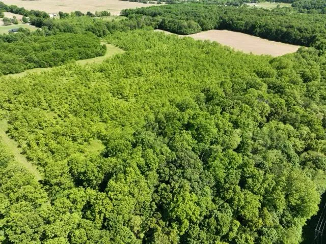 63531 Dailey Road Cassopolis, MI 49031