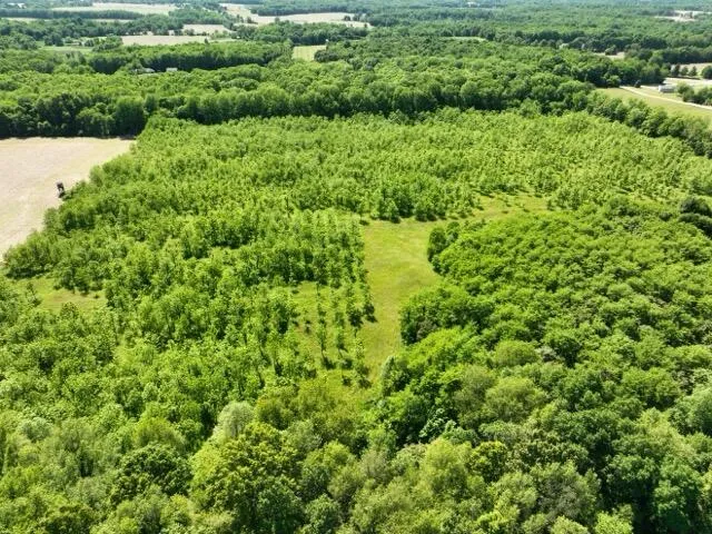 63531 Dailey Road Cassopolis, MI 49031