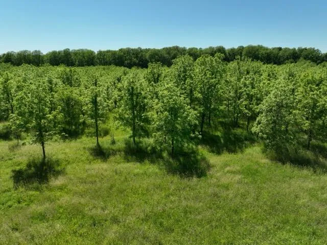 63531 Dailey Road Cassopolis, MI 49031