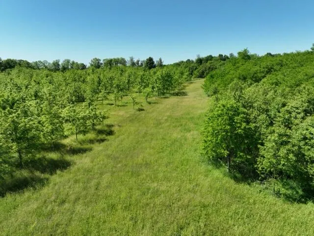 63531 Dailey Road Cassopolis, MI 49031