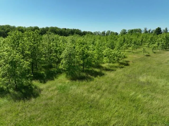 63531 Dailey Road Cassopolis, MI 49031