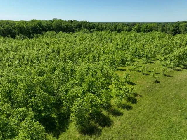 63531 Dailey Road Cassopolis, MI 49031