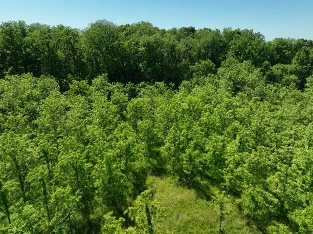 63531 Dailey Road Cassopolis, MI 49031
