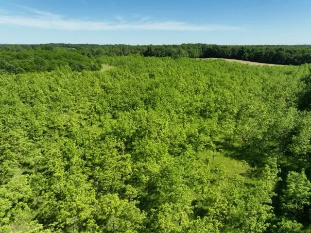 63531 Dailey Road Cassopolis, MI 49031