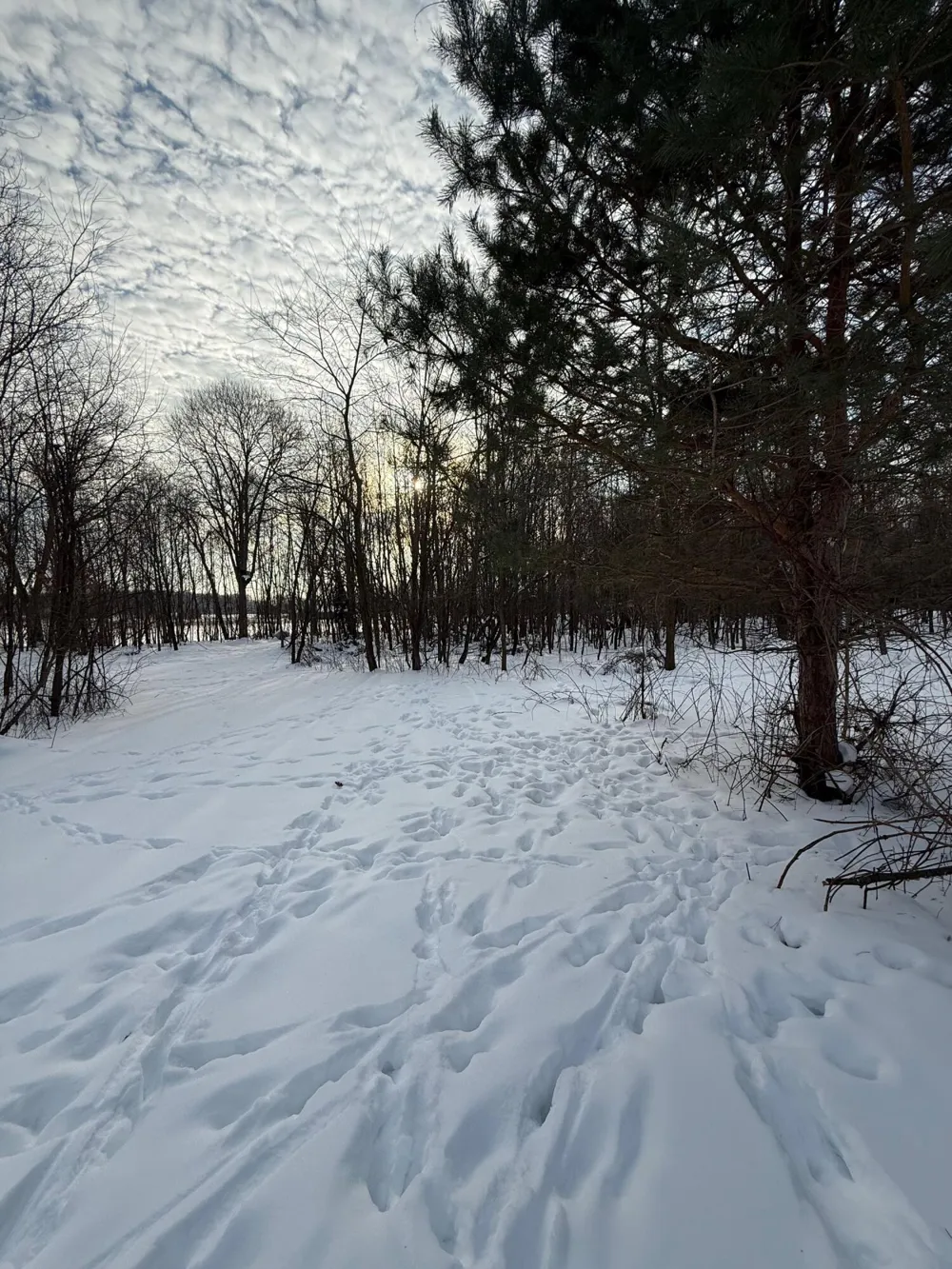 63531 Dailey Road Cassopolis, MI 49031
