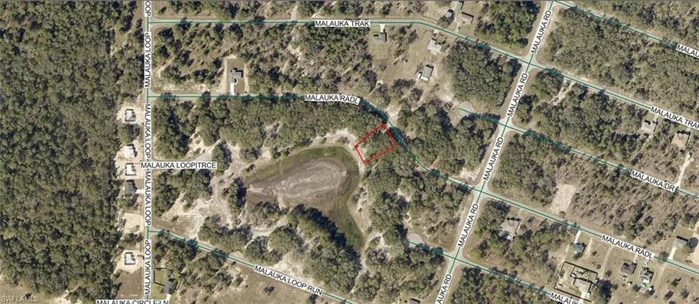 9031 Malauka Radial Ocklawaha, FL 32179