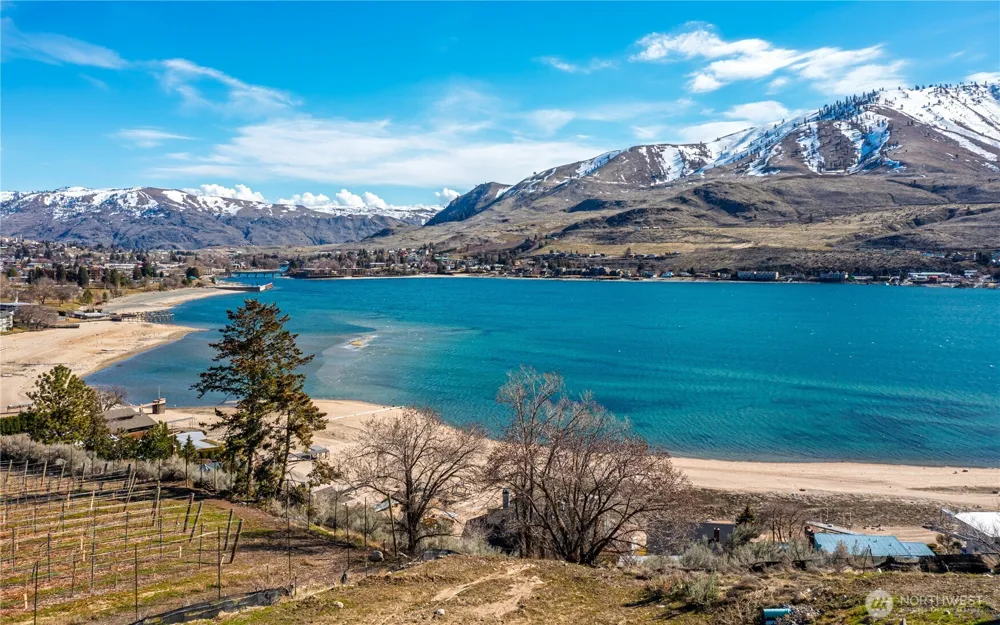 1325 Dragonfly Court Chelan, WA 98816