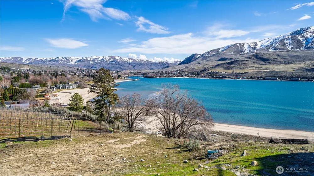 1325 Dragonfly Court Chelan, WA 98816