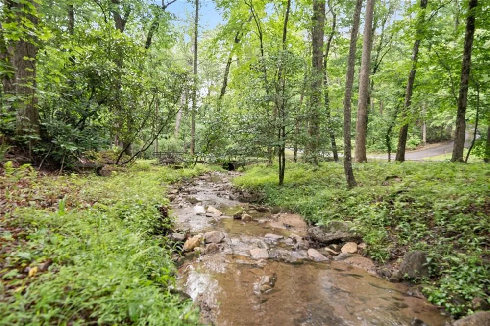 1130 Alpine Drive Sautee Nacoochee, GA 30571