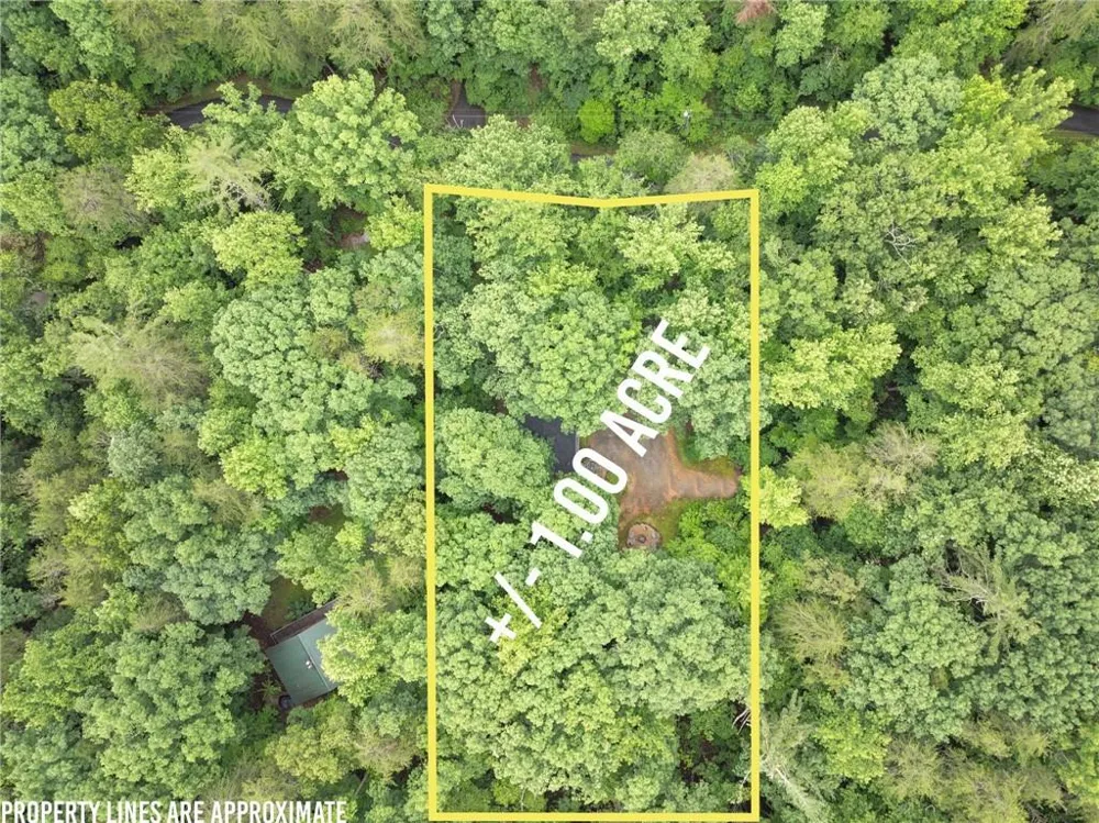 1130 Alpine Drive Sautee Nacoochee, GA 30571