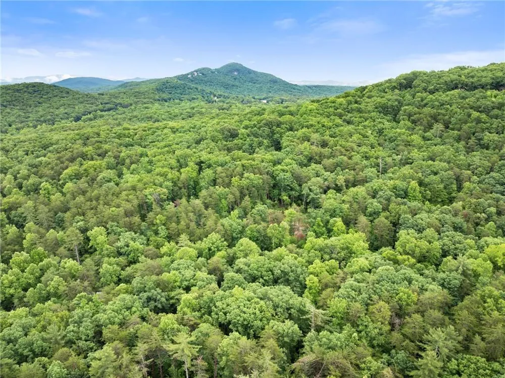 1130 Alpine Drive Sautee Nacoochee, GA 30571