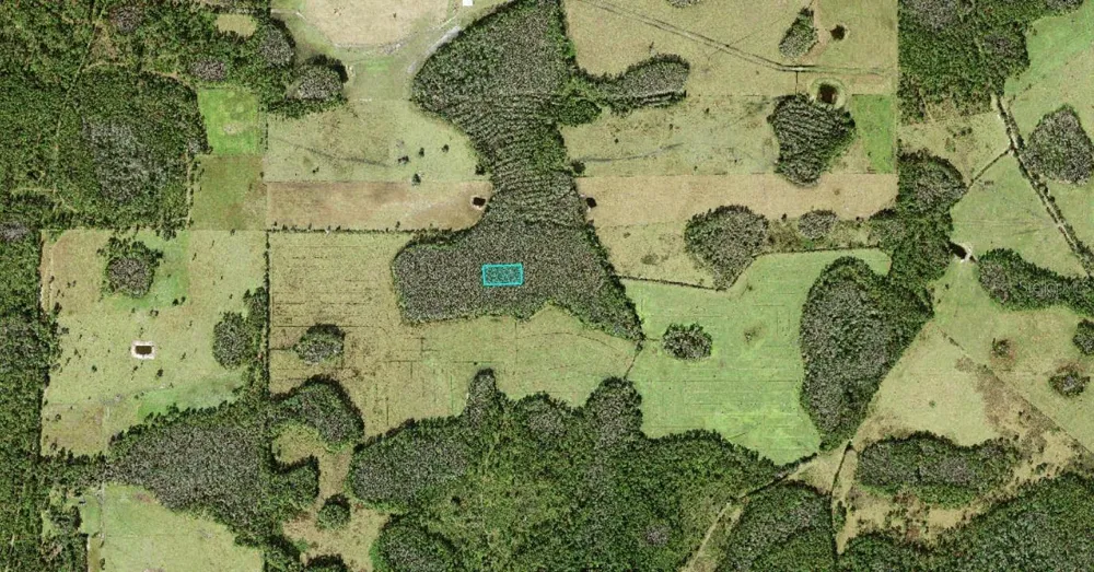 NO STREET Polk City, FL 33868