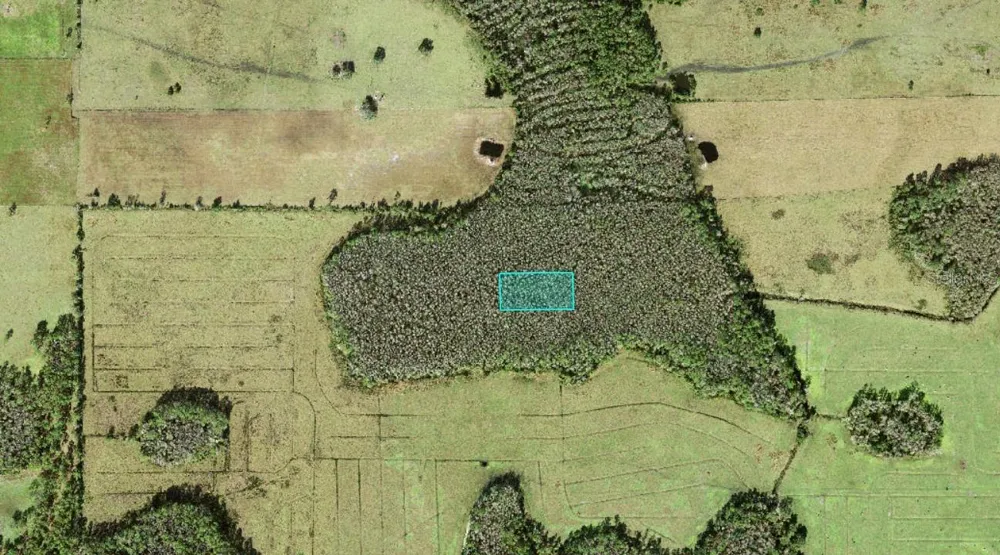 NO STREET Polk City, FL 33868