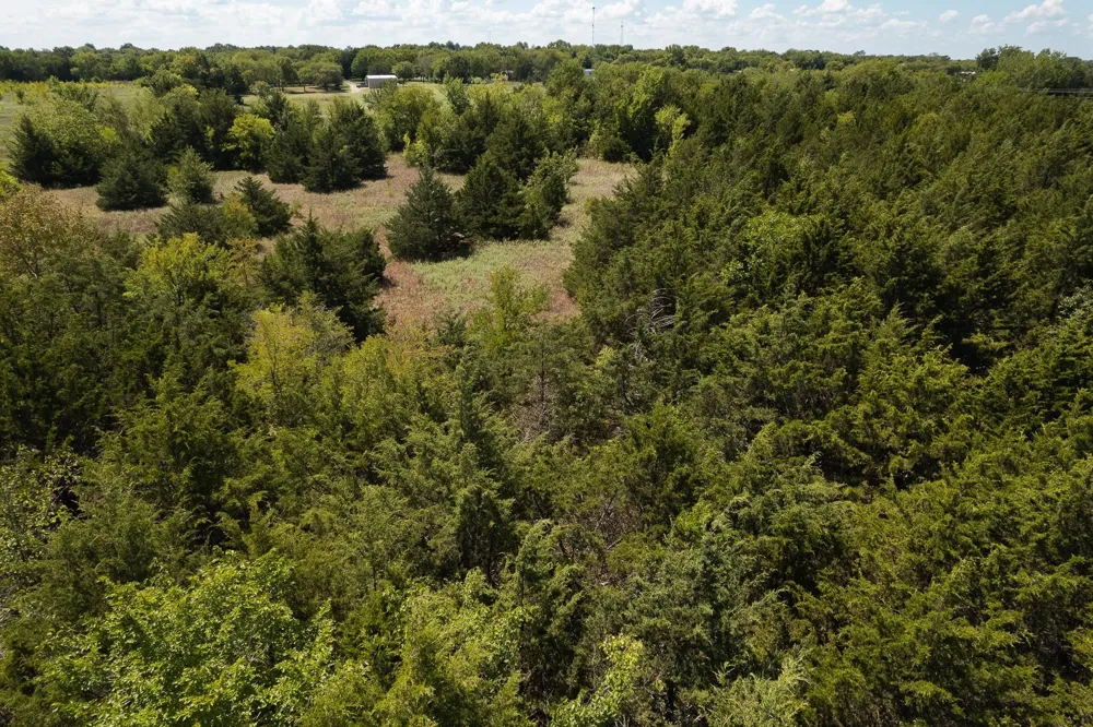 40 Turner Road Bells, TX 75414