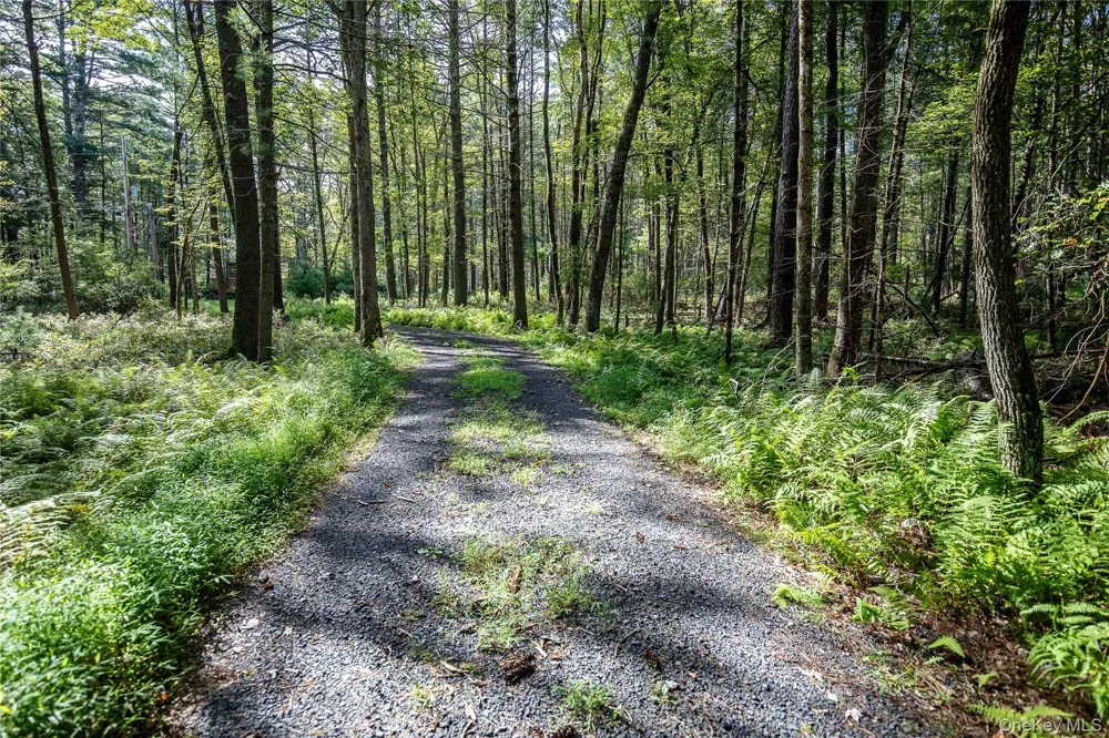 30 Woods Road Yulan, NY 12792