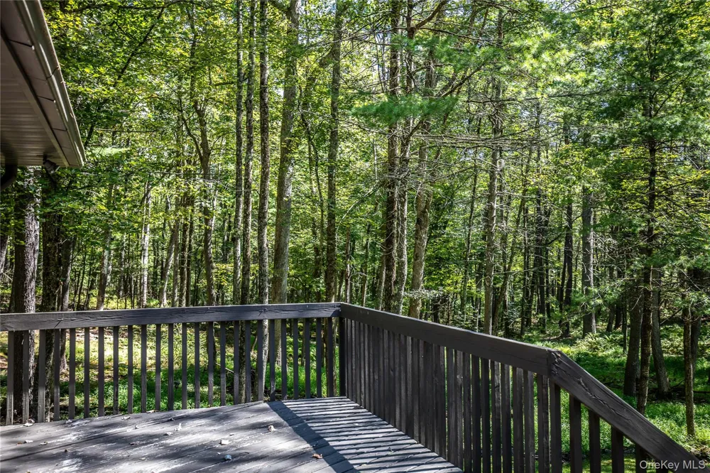 30 Woods Road Yulan, NY 12792