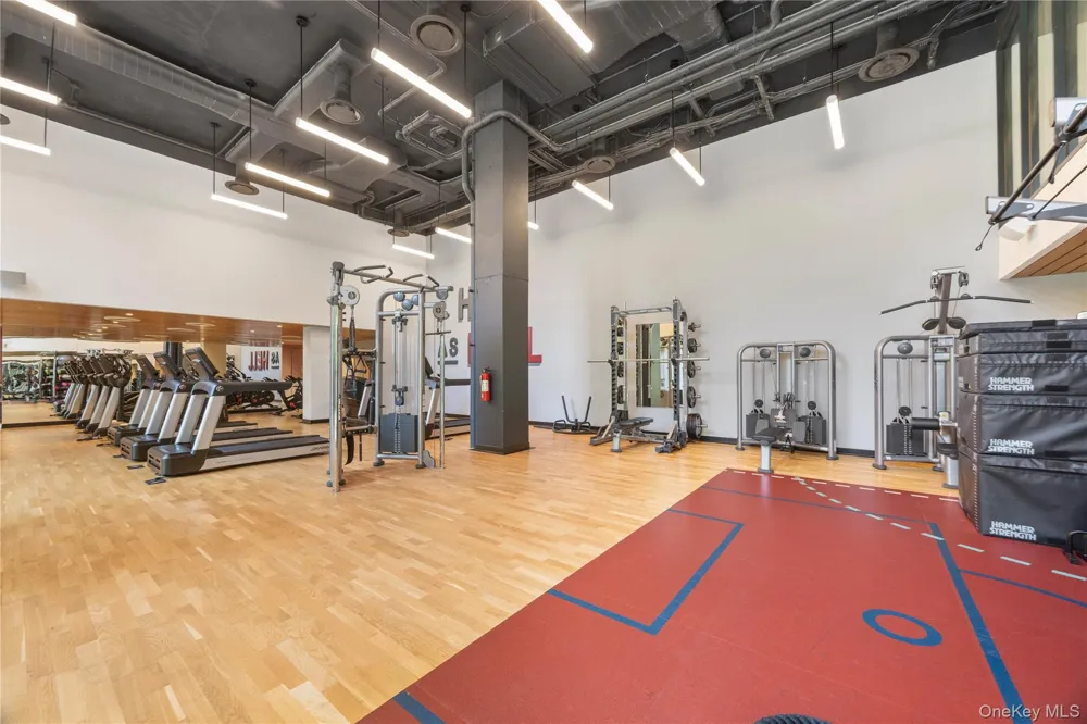 547 W 47th Street #509 New York (Manhattan), NY 10036