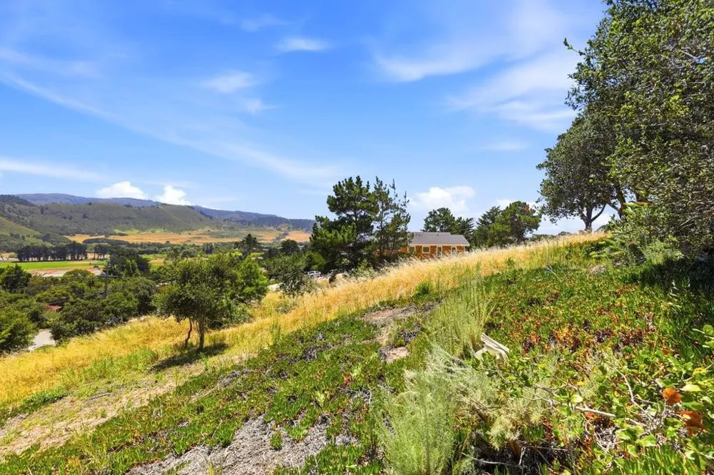 4215 Marguerita Way Carmel, CA 93923