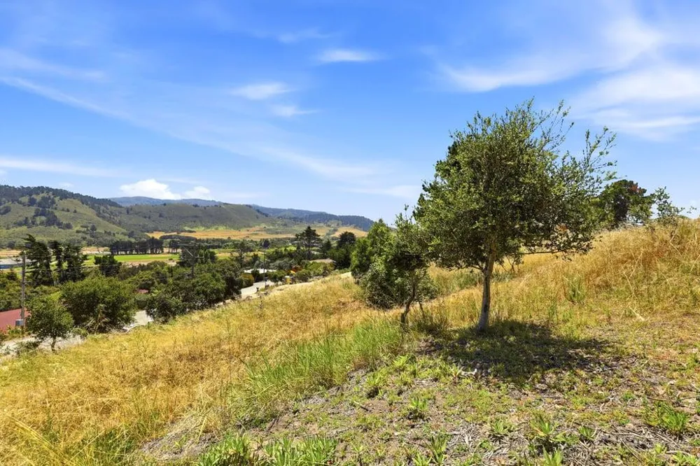 4215 Marguerita Way Carmel, CA 93923