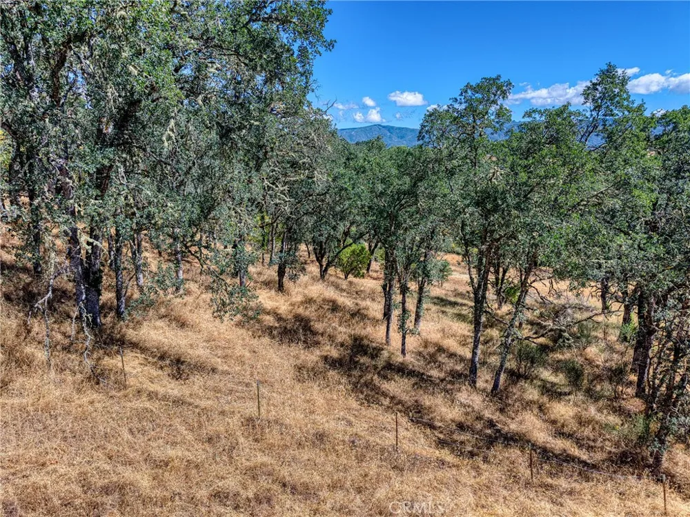 1250 Mockingbird Lakeport, CA 95453