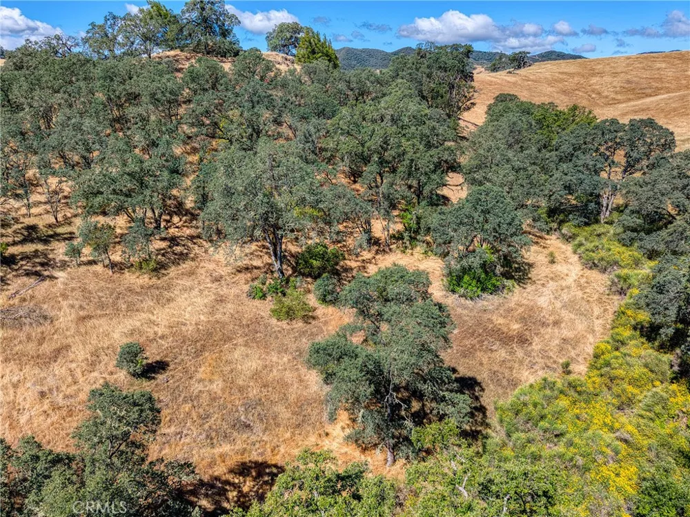 1250 Mockingbird Lakeport, CA 95453