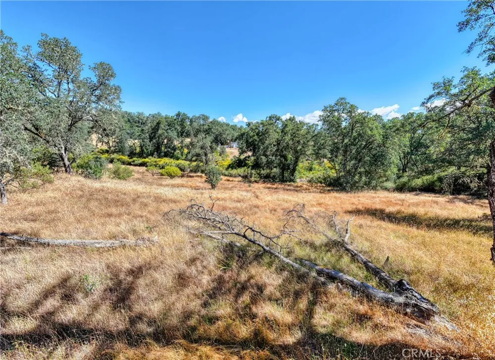 1250 Mockingbird Lakeport, CA 95453