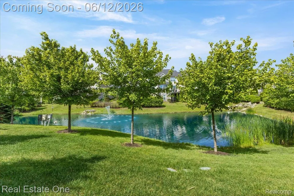 42829 Cardinal Way Novi City, MI 48375