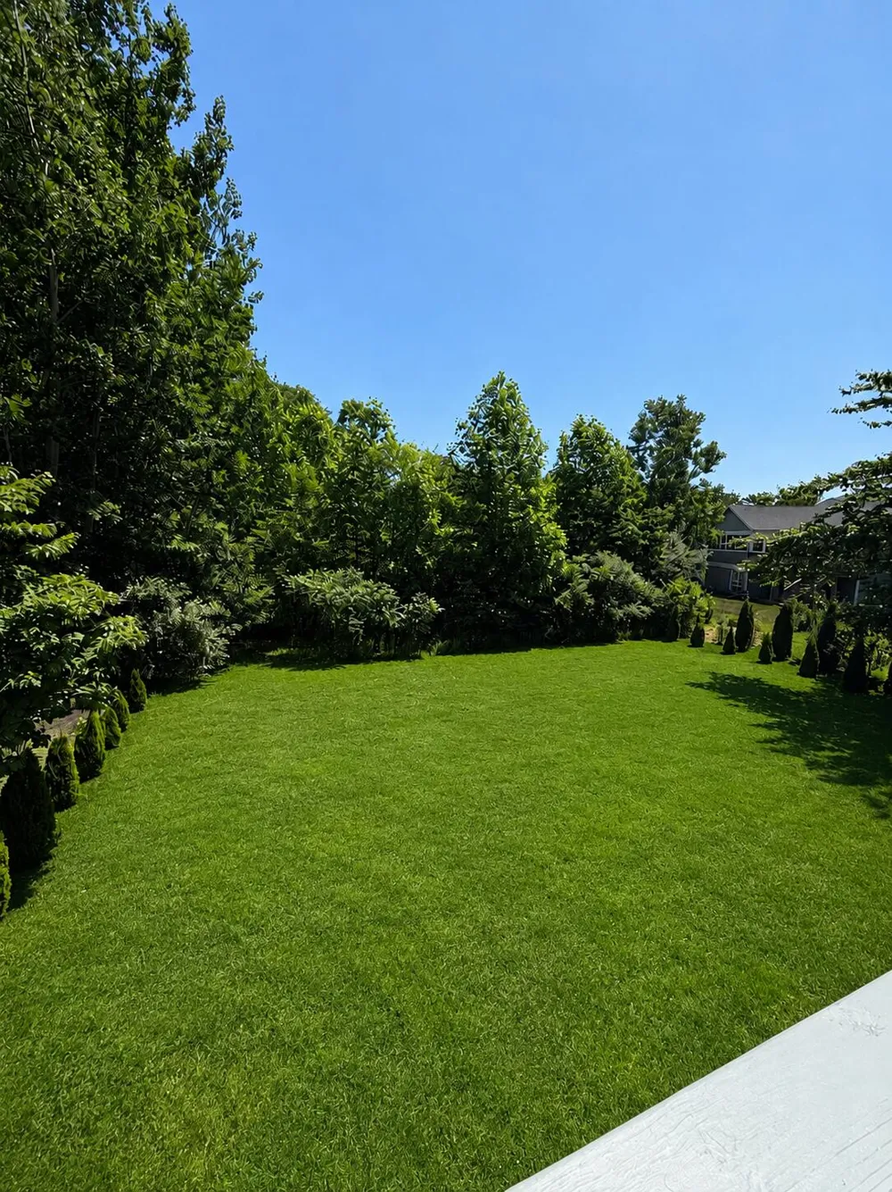 5223 Seawall Court South Haven Charter Township, MI 49090
