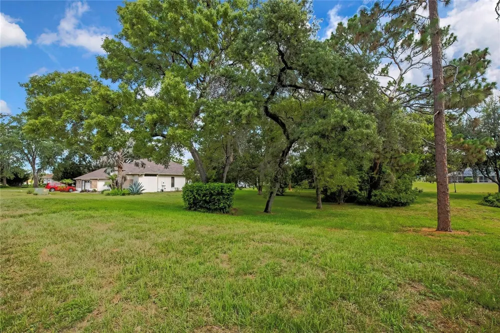 ORANGEWOOD COURT Spring Hill, FL 34609