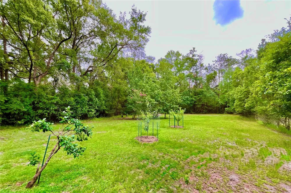 20517 NE 114TH AVENUE Waldo, FL 32694