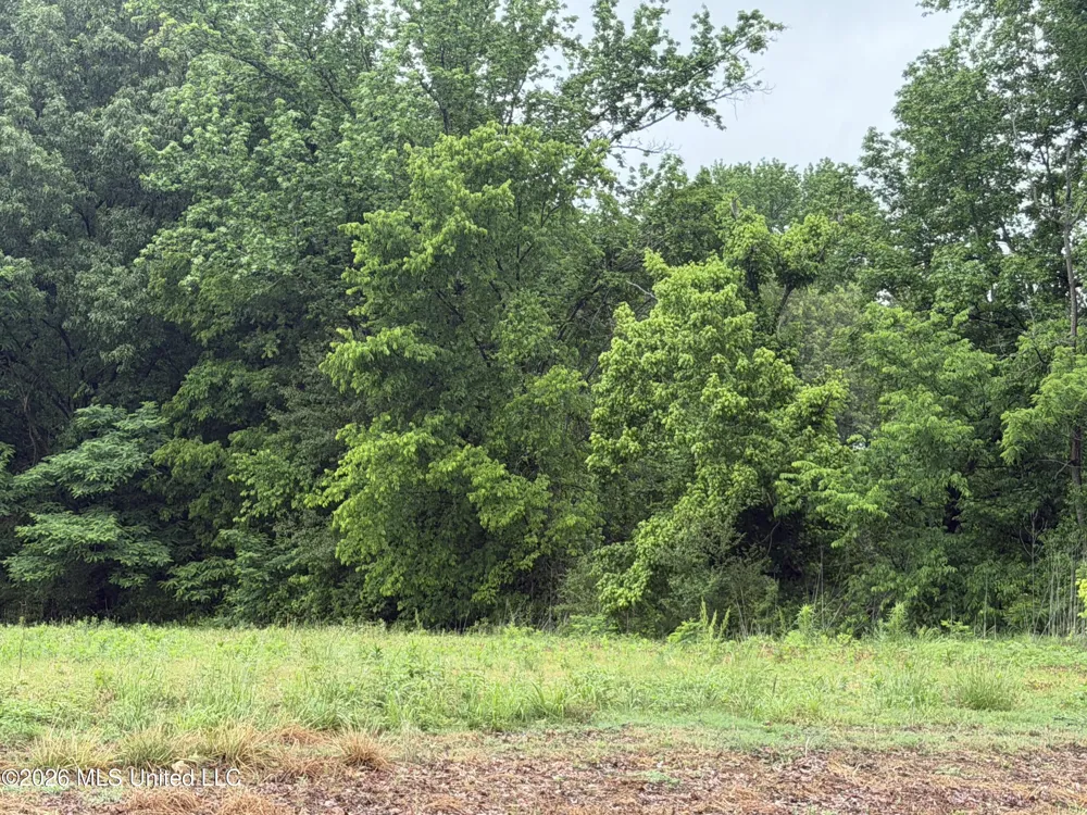 Green River Road Lake Cormorant, MS 38641