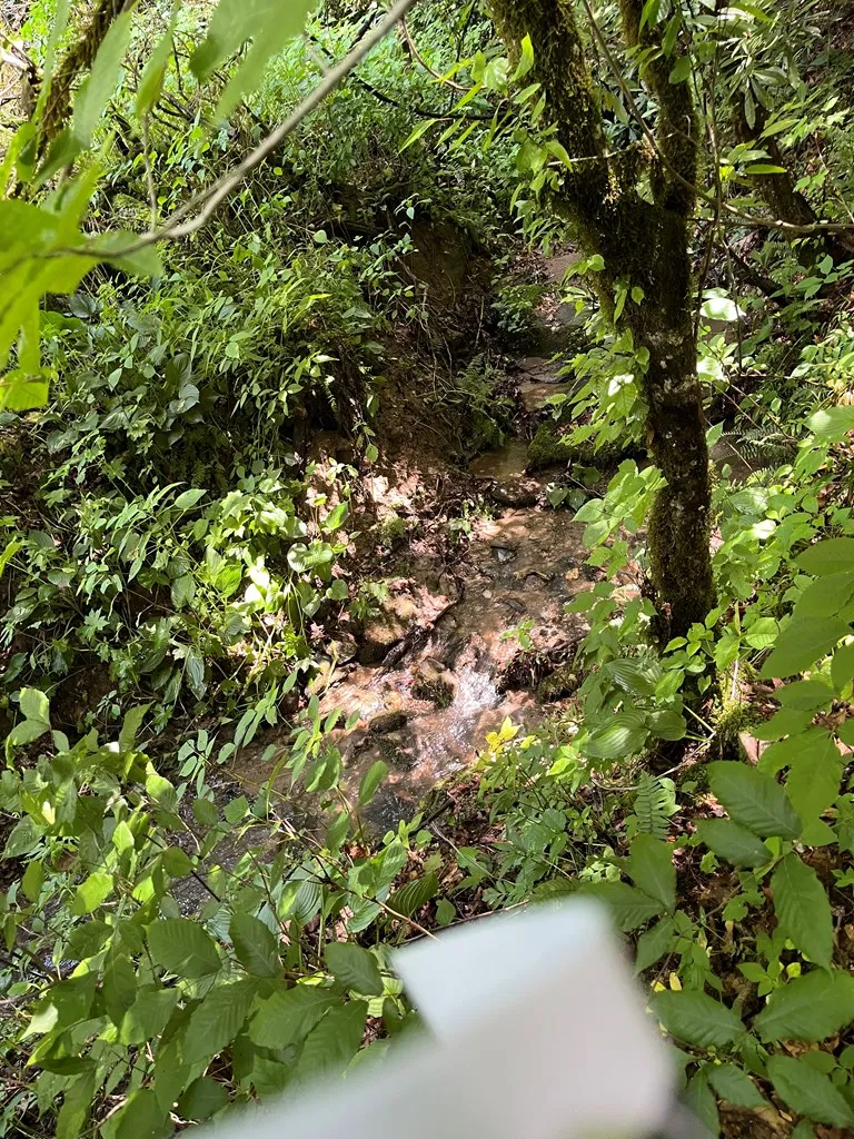 Mincey Rd Franklin, NC 28734