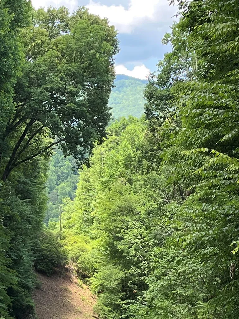 Mincey Rd Franklin, NC 28734