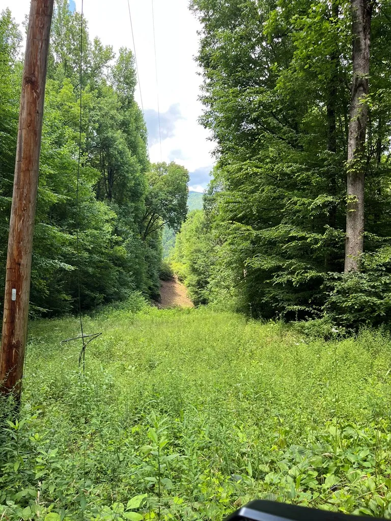 Mincey Rd Franklin, NC 28734
