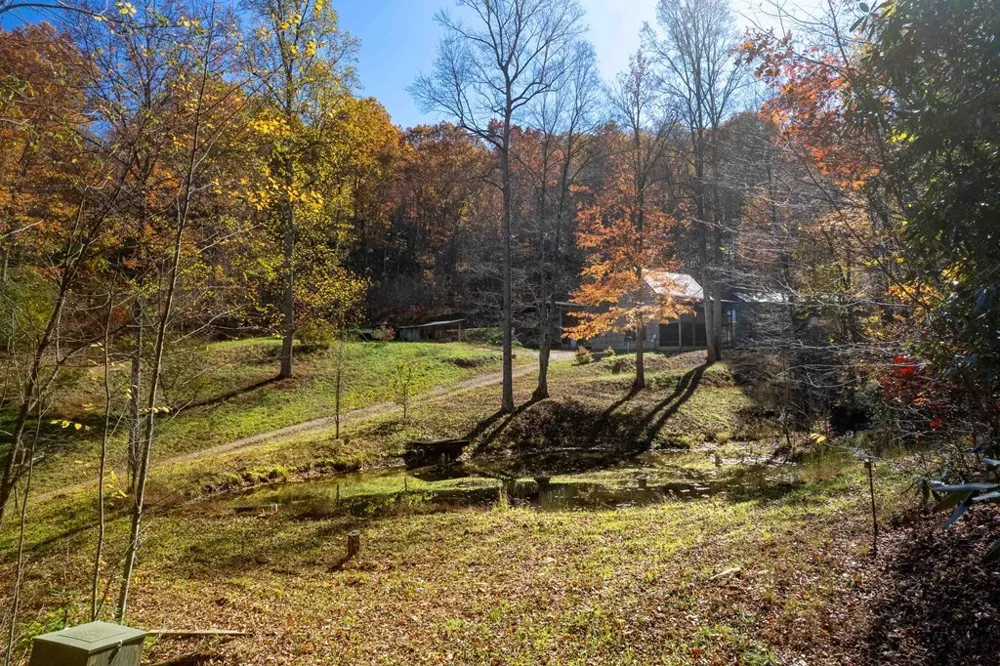 Copperhead Cove Sylva, NC 28779