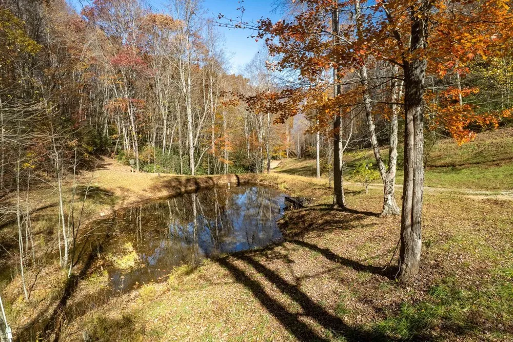 Copperhead Cove Sylva, NC 28779