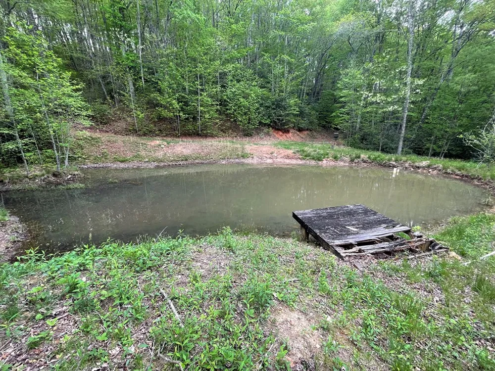 Copperhead Cove Sylva, NC 28779