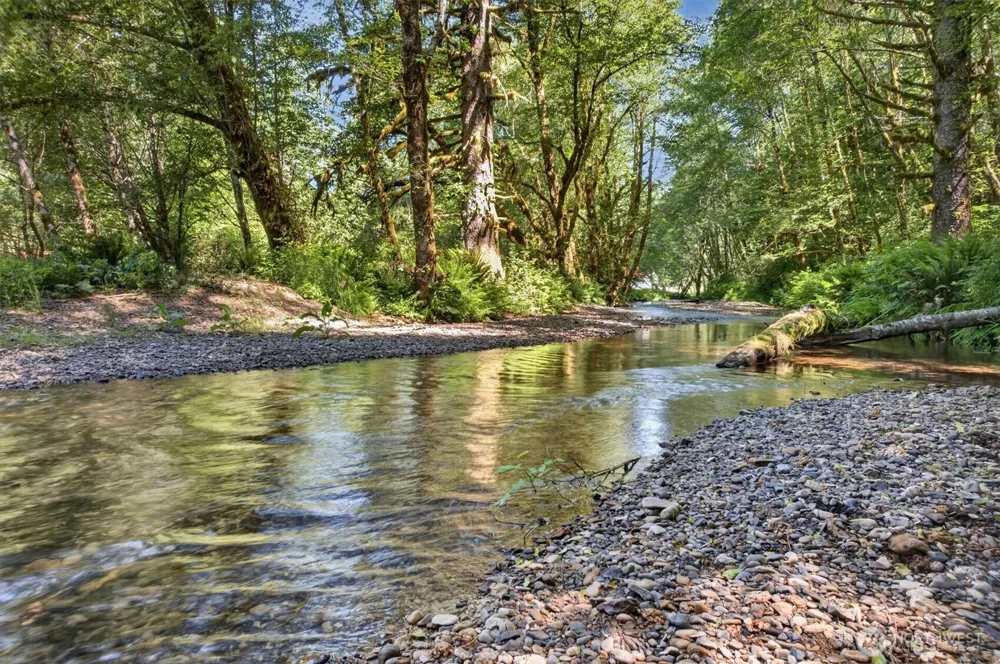 344 Hull Creek Road Grays River, WA 98621