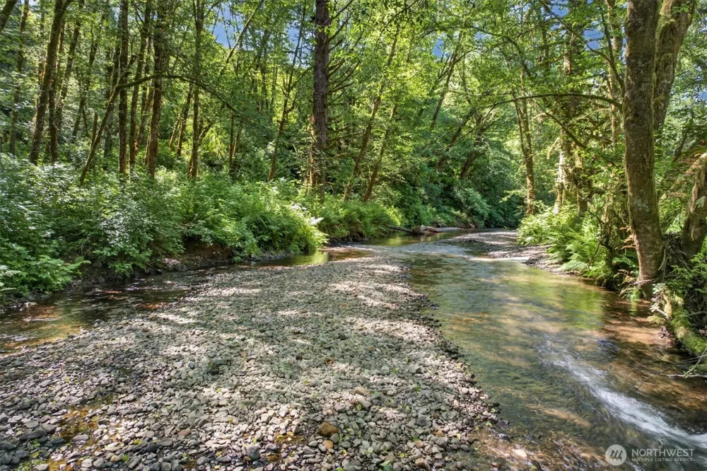 344 Hull Creek Road Grays River, WA 98621