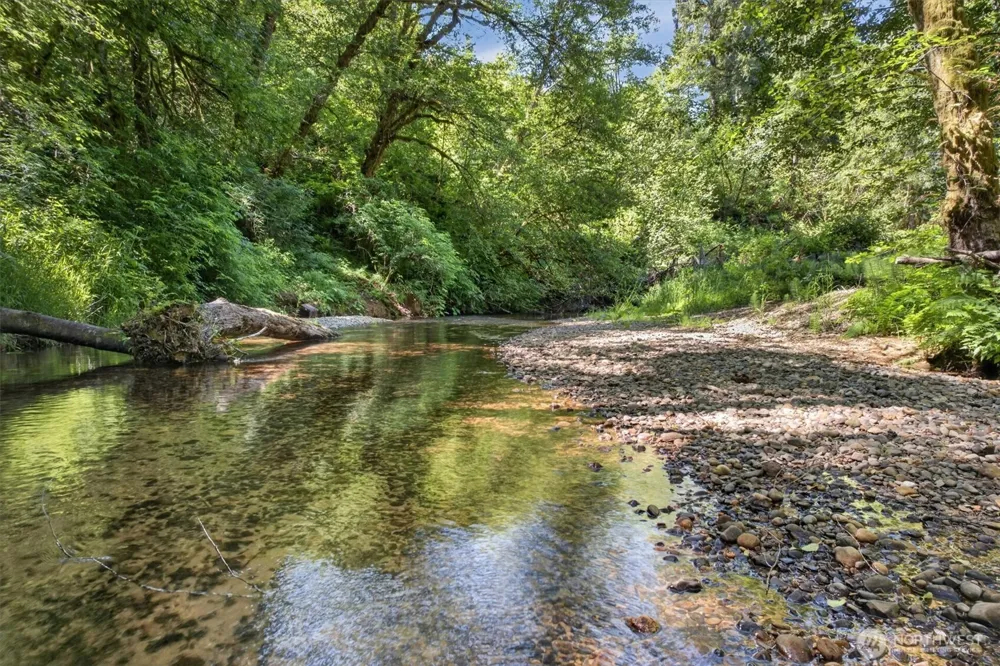 344 Hull Creek Road Grays River, WA 98621