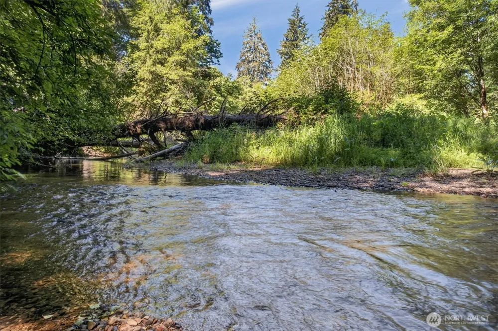 344 Hull Creek Road Grays River, WA 98621